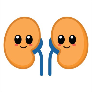 Gülen suratlı, sevimli bir böbrek maskotu. Çocuk sağlığı malzemeleri ve üroloji temaları için dostane anatomi çizimi ideal.