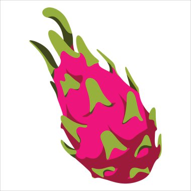 Beyaz arka planda ejderha meyvesi pitaya tamamen taze vektör. Canlı tropikal besin ve egzotik gıda temaları için tasarım üretiyor.