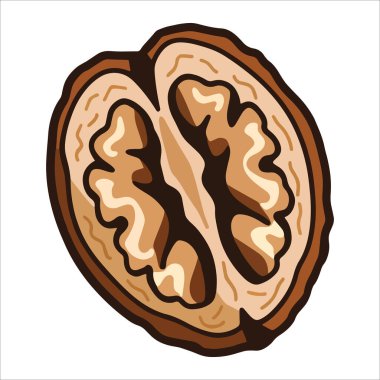 Kabuk vektör çizimi düz dizaynlı yarım ceviz. Beyaz arka planda izole edilmiş, gıda blogları ve organik ürün etiketleri için ideal.