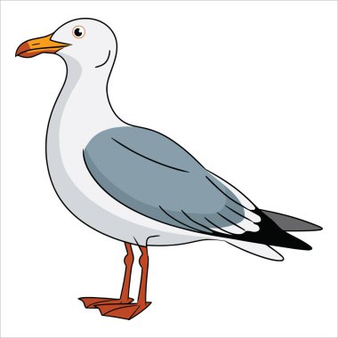 Martı kuş çizimi. Plaj ve okyanus temaları için sahil kuş vektörü.