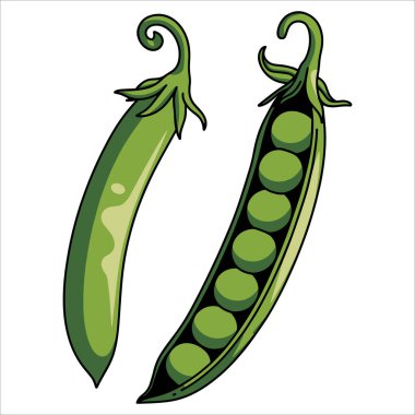 Beyaza izole edilmiş iki yeşil bezelye vektörü. Tarım, beslenme ve organik gıda görselleri için harika..