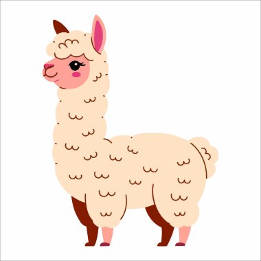 Beyaz üzerine izole edilmiş şirin lama vektör çizimi. Çiftlik hayvanları grafikleri, düz stil kırsal görseller ve çiftlik hayvanları temalı tasarımlar için harika..
