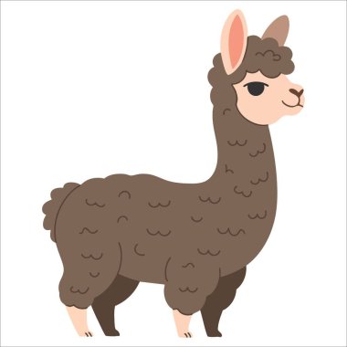 Çocuklar için düz çizgi film tarzı lama vektörü. Eğlenceli hayvan temalı posterler, şirin çocuklar için görseller ve neşeli çizimler için mükemmel..