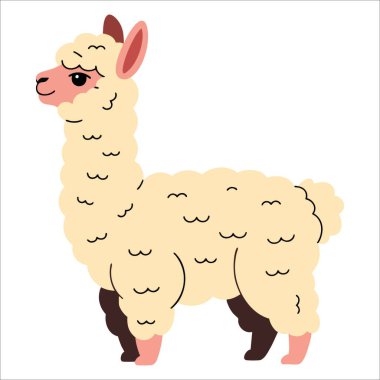 Düz stil lama vektör sanatı beyaza izole edilmiş. Şirin hayvan posterleri, hayvancılık eğitimi baskıları ve kırsal çiftlik temalı görseller için mükemmel..