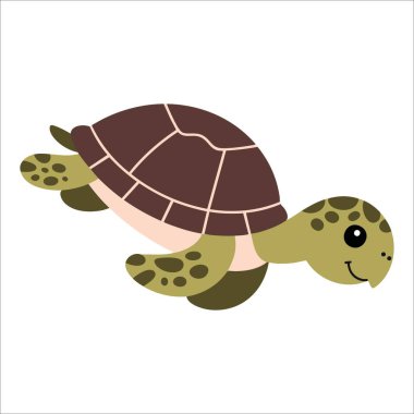 Düz vektör deniz kaplumbağası çizimi beyaz arka planda izole edilmiş okyanus yaban hayatı, doğa ve deniz temalı projeler için mükemmel bir tasarım.