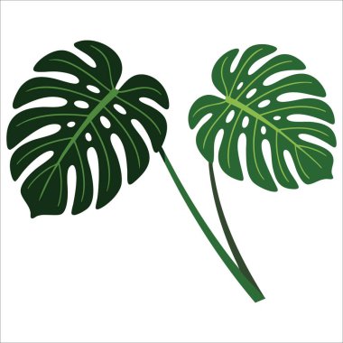 Eko yapraklı yeşil botanik bitki dalı, doğa temaları için ideal vektör, ekolojik grafikler ve organik tasarım projeleri