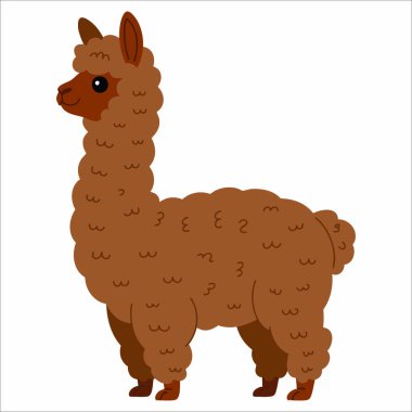 Lama çizgi filmi, düz vektör tarzında beyaza izole edilmiş. Kırsal tarım temaları, çiftlik hayvanları görselleri ve hayvan eğitimi sanat çalışmaları için ideal.