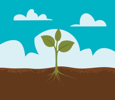 Yerden filizlenen düz vektör illüstrasyonunda büyüme, ekoloji, çevre, çiftçilik, sürdürülebilirlik, doğal döngü ve toprak doğası temasından doğan yeşil eko yaşamı sembolize eder.