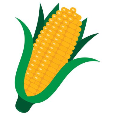 Karikatür şeklinde mısır ikonu beyaza izole edilmiş. Çiftlikten organik sebzelerin, çevre dostu ve biyolojik ürünlerin vektör çizimi.