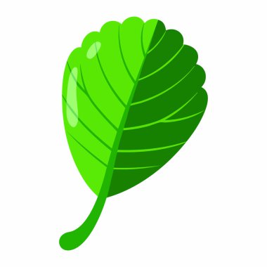 Ispanak ikonu karikatür düz stili izole edilmiş nesne bitkisel organik eko biyolojik tarım ürün çizimi sağlıklı besinler ve doğal tasarımlar için mükemmel.