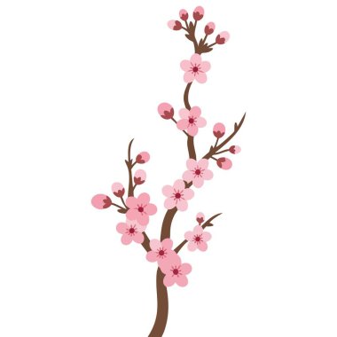 Beyaz arka planda izole edilmiş pembe kiraz çiçeği dalının vektör çizimi, çiçek güzelliğinin düz stil sembolü, bahar mevsimi, narin çiçekler ve geleneksel Japon kültürel tasarımı
