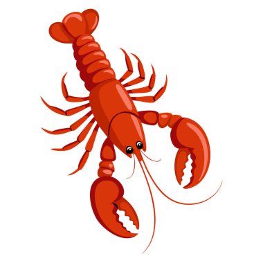 Ayrıntılı pençeleri olan parlak kırmızı ıstakoz ve beyaz arka plan vektör illüstrasyonuna izole edilmiş uzun antenler deniz ürünleri yemek pişirme kavramları için mükemmel.