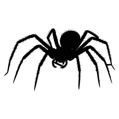 Örümcek silueti vektör illüstrasyonu, ürkütücü cadılar bayramı böcek doğası ya da ürkünç örümceksi temalı yaratıcı sanat eserleri için ideal tasarım elementi.