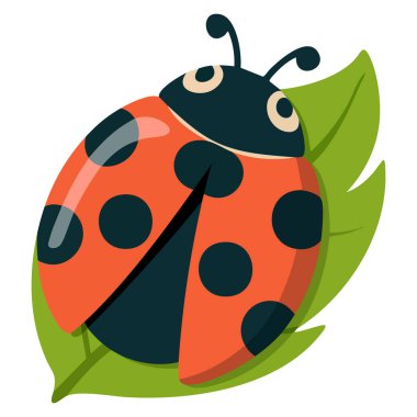 Çocuk giysi baskıları, fauna böceği biyolojisi unsuru, etiket ya da defter ve günlük tasarımı için ideal sevimli uğur böceği simgesinin vektör çizimi