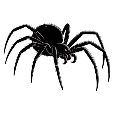 Örümcek siluetinin vektör çizimi cadılar bayramı ürkütücü böcek doğası veya korkunç örümceksi temalı sanat eserleri için uygun izole tasarımı