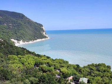 Promontorio sul mare ricco di vegatazione