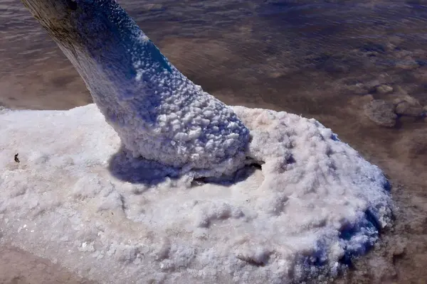 stock image A pink salt lake with wooden pier posts covered in white salt, set against a bright blue sky. This is Kuyalnik in Odessa region. High quality photo