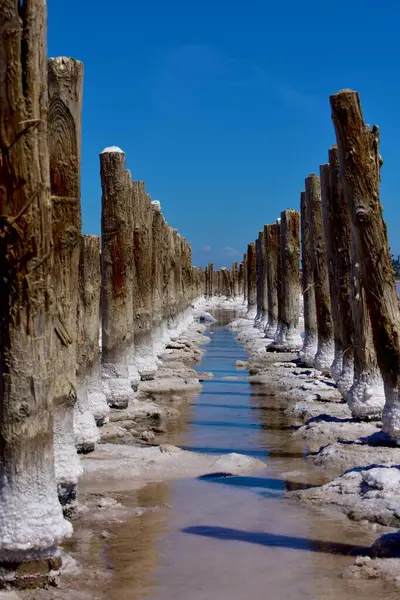 stock image A pink salt lake with wooden pier posts covered in white salt, set against a bright blue sky. This is Kuyalnik in Odessa region. High quality photo