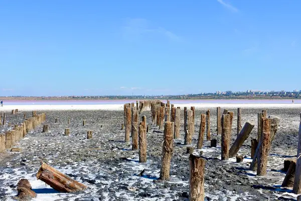 stock image A pink salt lake with wooden pier posts covered in white salt, set against a bright blue sky. This is Kuyalnik in Odessa region. High quality photo