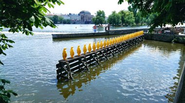 the yellow penguins on the vltava river near the kampa museum in prague are a recycled plastic art installation by the cracking art group, symbolizing ecology and attracting tourists. clipart