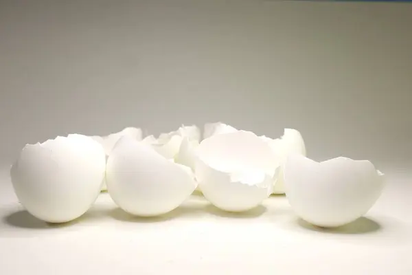 Kırık yumurta kabukları beyaz bir yüzeye saçılmış ve minimalist bir kompozisyon oluşturmuş.
