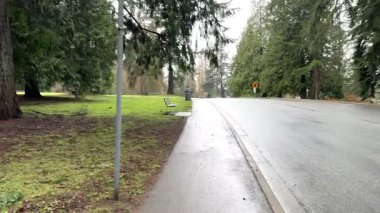 Parktaki ağaçların arasında asfalt yol