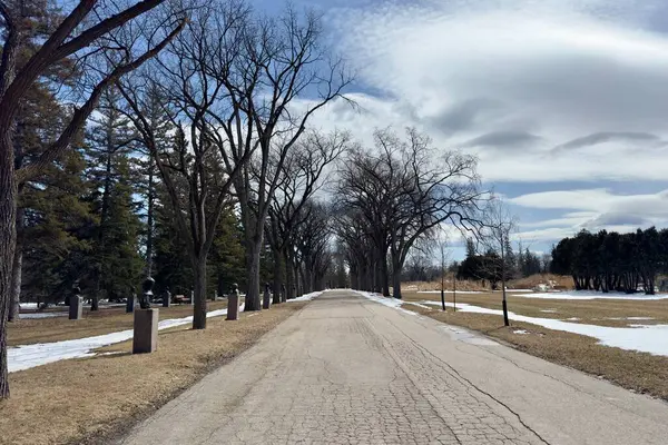 Çıplak ağaçlarla, kar parçalarıyla ve bulutlu ilkbahar gökyüzüyle dolu bir park yolu.