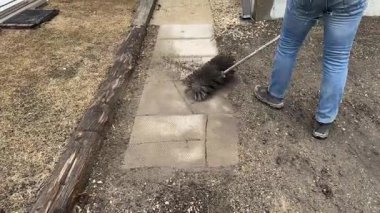 Güneşli bir günde kaldırım kenarındaki kum ve tozu süpüren kişi.