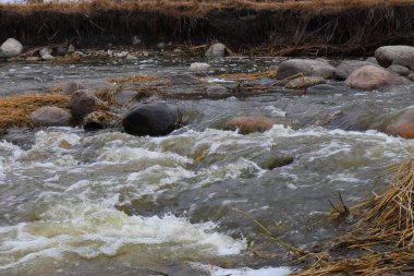 Kayalar ve kuru otlar arasında akan temiz bir dere, küçük akıntılar üzerinde yavaşça köpürüyor..