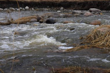 Kayalar ve kuru otlar arasında akan temiz bir dere, küçük akıntılar üzerinde yavaşça köpürüyor..