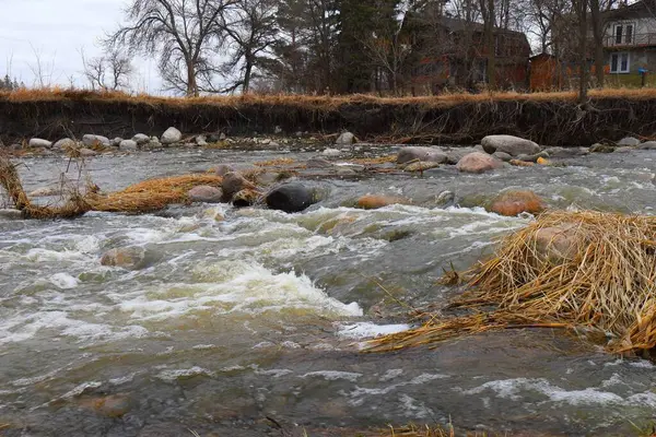 Kayalar ve kuru otlar arasında akan temiz bir dere, küçük akıntılar üzerinde yavaşça köpürüyor..