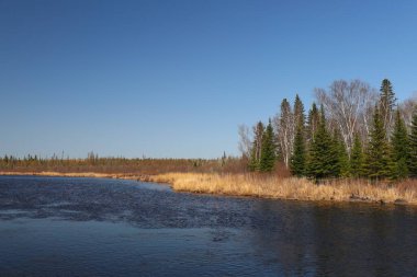 Sakin bir nehir, kuzeydeki açık mavi gökyüzünün altında kayaların ve çam ağaçlarının arasından akar..