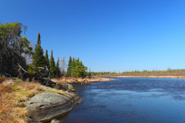 Sakin bir nehir, kuzeydeki açık mavi gökyüzünün altında kayaların ve çam ağaçlarının arasından akar..