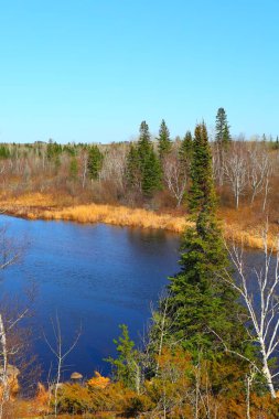 Sakin bir nehir, kuzeydeki açık mavi gökyüzünün altında kayaların ve çam ağaçlarının arasından akar..