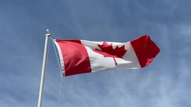 Kanada bayrağı rüzgarda dalgalanıyor. Yüksek kaliteli FullHD görüntüler