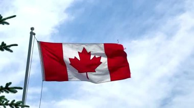 Kanada bayrağı rüzgarda dalgalanıyor. Yüksek kaliteli FullHD görüntüler