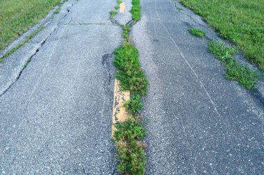 Yeşil çimlerin solmuş sarı bir çizgiyle aşınmış asfaltta filizlendiği yakın plan kentsel yüzeyleri geri alan doğayı sembolize ediyor.