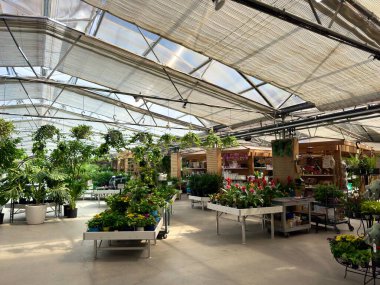 Tencere ve sepetlerde tropikal ve süs bitkileriyle dolu geniş bir sera. Doğal ışık, cam çatıdan süzülerek canlı bir iç gardını oluşturur.