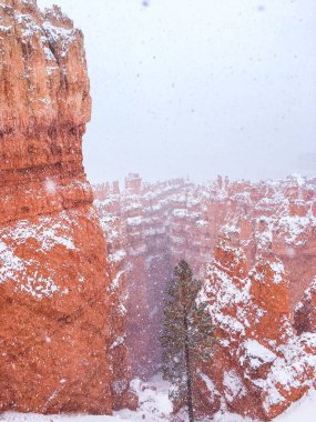 Bryce Canyon Ulusal Parkı 'nda kırmızı kaya ve taşlı kar manzaralı uçurumlar