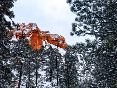 Bryce Canyon Ulusal Parkı 'nda kırmızı kaya ve taşlı kar manzaralı uçurumlar