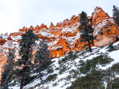 Bryce Canyon Ulusal Parkı 'nda kırmızı kaya ve taşlı kar manzaralı uçurumlar