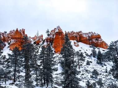 Bryce Canyon Ulusal Parkı 'nda kırmızı kaya ve taşlı kar manzaralı uçurumlar