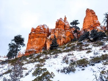 Bryce Canyon Ulusal Parkı 'nda kırmızı kaya ve taşlı kar manzaralı uçurumlar