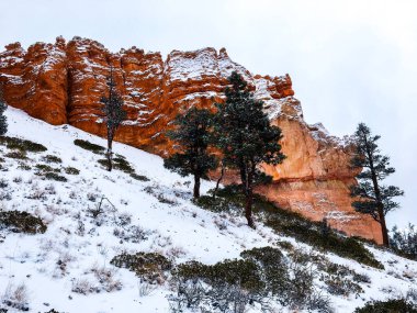 Bryce Canyon Ulusal Parkı 'nda kırmızı kaya ve taşlı kar manzaralı uçurumlar