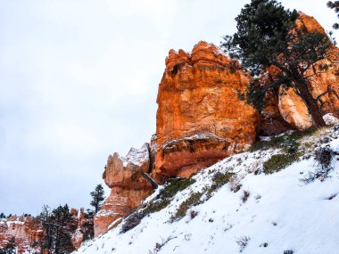 Bryce Canyon Ulusal Parkı 'nda kırmızı kaya ve taşlı kar manzaralı uçurumlar