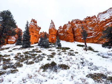 Bryce Canyon Ulusal Parkı 'nda kırmızı kaya ve taşlı kar manzaralı uçurumlar