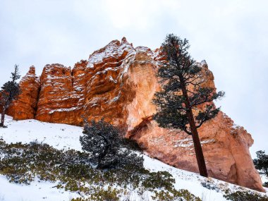 Bryce Canyon Ulusal Parkı 'nda kırmızı kaya ve taşlı kar manzaralı uçurumlar
