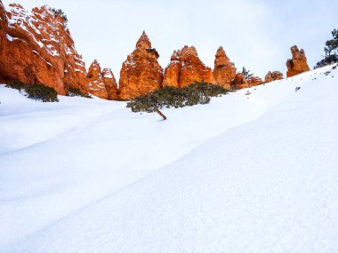 Snow scene colorful cliffs with  red rock and stone in Bryce Canyon National Park clipart