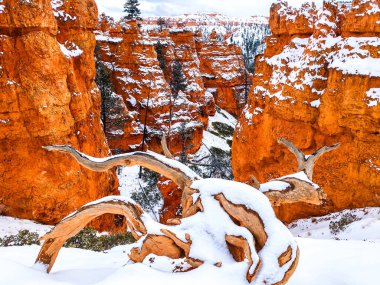 Snow scene colorful cliffs with  red rock and stone in Bryce Canyon National Park clipart