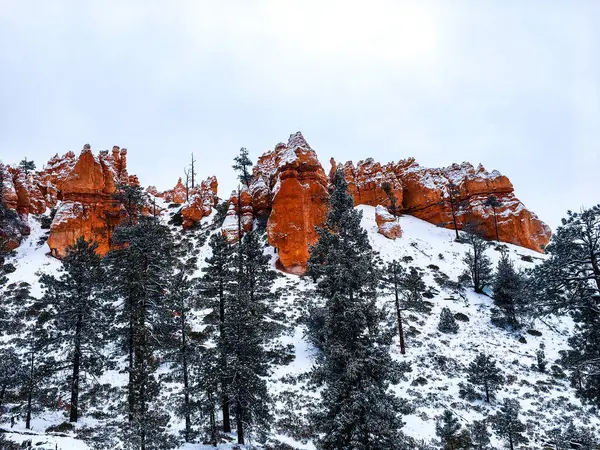 stock image Snow scene colorful cliffs with  red rock and stone in Bryce Canyon National Park